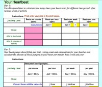 Your Heartbeat Excel Worksheet